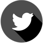 Red social twiter